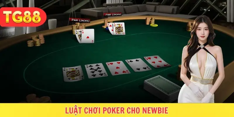 5 vòng đều phải cân nhắc bài để cược